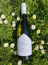 Afbeelding in Gallery-weergave laden, Tenuta dell' Ugolino - Verdicchio le Piaole - VEROS VINI