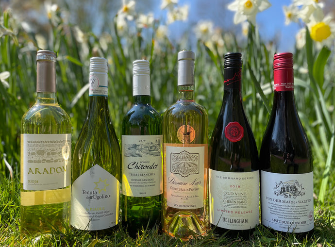 Frisse lente BOX - VEROS VINI