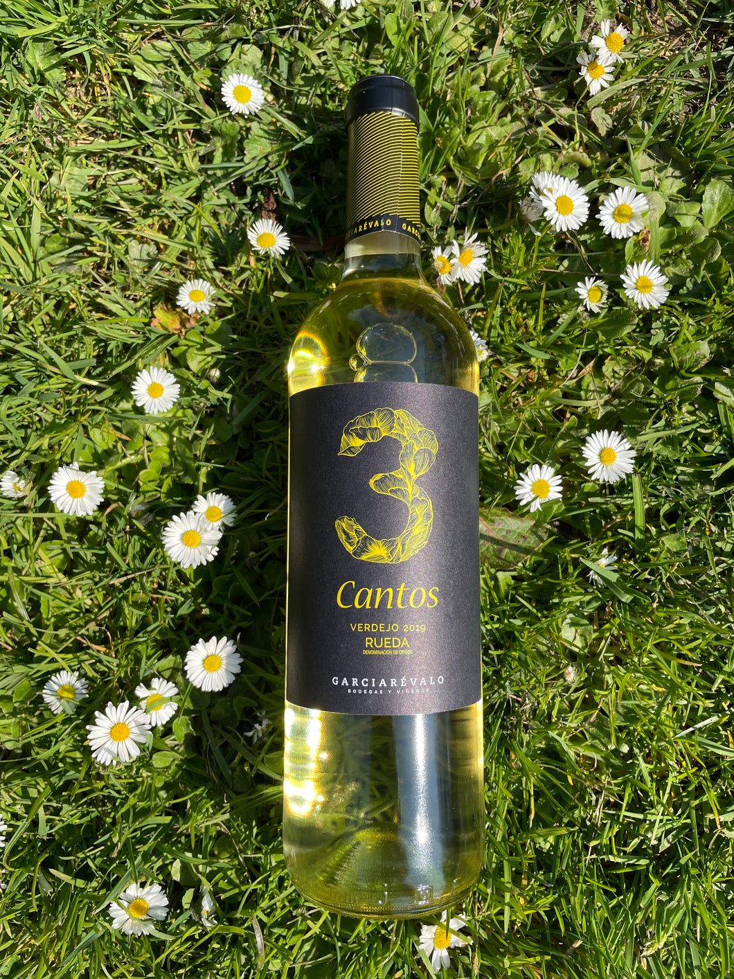 Bodega Garciarevalo - Tres Cantos Verdejo - VEROS VINI