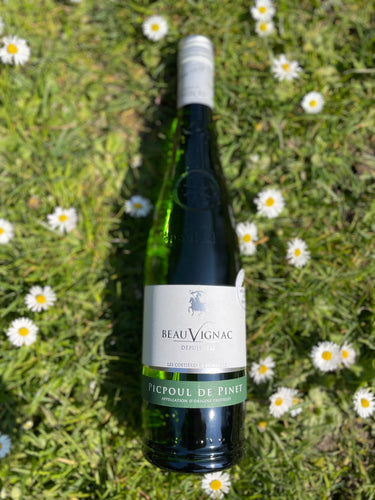 Costières de Pomerols - Picpoul de Pinet Beauvignac - VEROS VINI