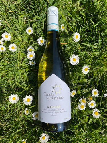 Tenuta dell' Ugolino - Verdicchio le Piaole - VEROS VINI