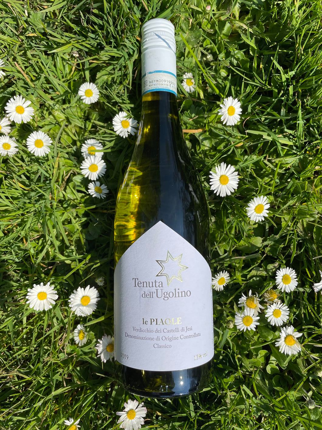 Tenuta dell' Ugolino - Verdicchio le Piaole - VEROS VINI
