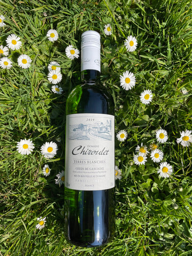 Domaine Chiroulet - Terres Blanches 2019 - VEROS VINI