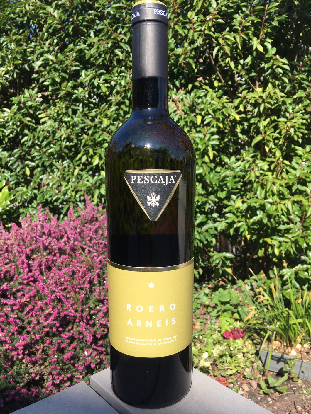 Pescaja - Roero Arneis DOCG