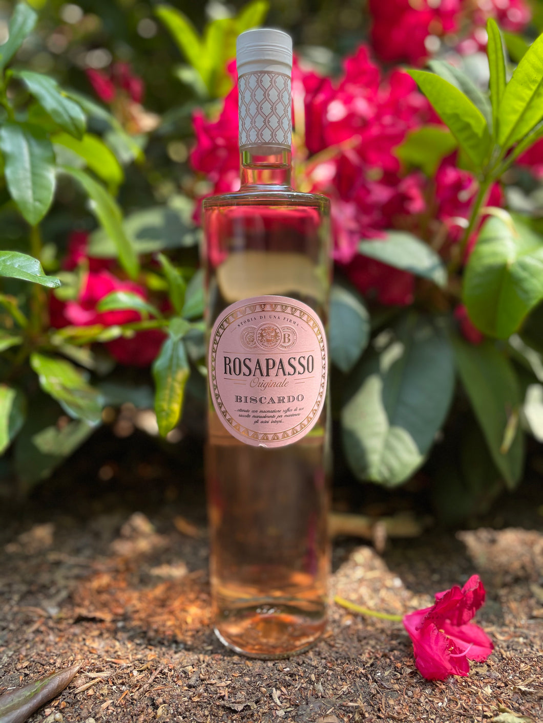 Biscardo - Rosapasso 2020 - VEROS VINI