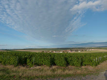 Afbeelding in Gallery-weergave laden, Bonnevie Bocard - Blanc de Noirs Premier Cru - VEROS VINI
